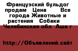 Французский бульдог продам › Цена ­ 1 - Все города Животные и растения » Собаки   . Челябинская обл.,Аша г.